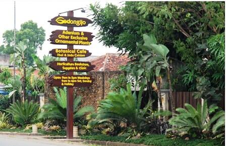JALAN JALAN MANTAPP DI HIRUK PIKUKNYA IBUKOTA - GODONG IJO