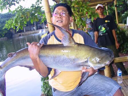 JALAN JALAN MANTAPP DI HIRUK PIKUKNYA IBUKOTA - GODONG IJO