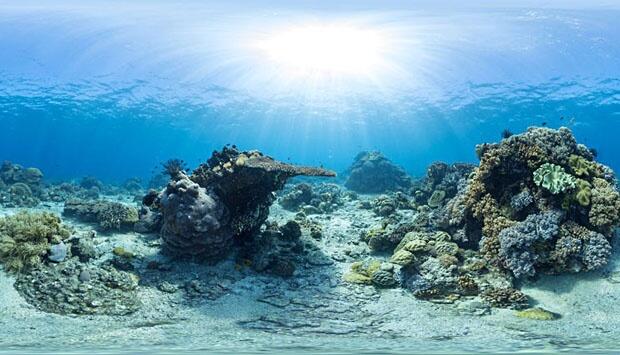 &#91;Indah Banget&#93; Keindahan Bawah Laut Terekam Google Street