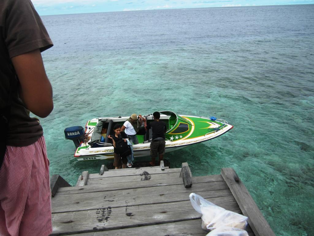 &#91;FR&#93; Pulau Kakaban, Pesona Ubur-ubur Tanpa Racun 