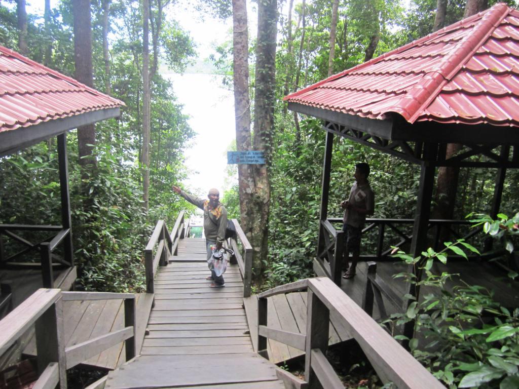 &#91;FR&#93; Pulau Kakaban, Pesona Ubur-ubur Tanpa Racun 