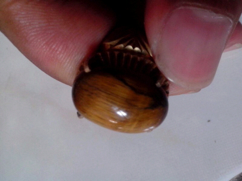 terjual jual batu bertuah kalimaya akik keong buntet batu terjual jual batu bertuah kalimaya akik keong buntet batu