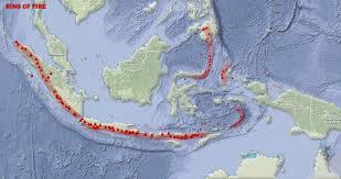 15 Dari Indonesia Yang Mendunia
