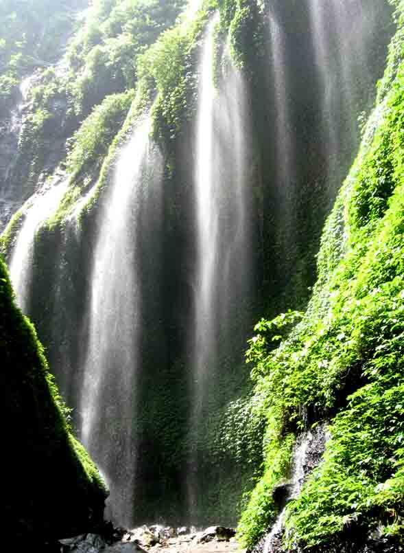 Keindahan Alami Air Terjun Madakaripura