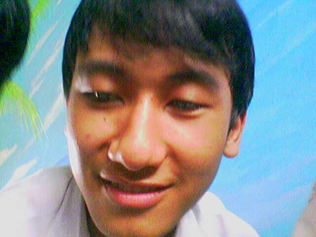 Collection Foto Close Up My Plen