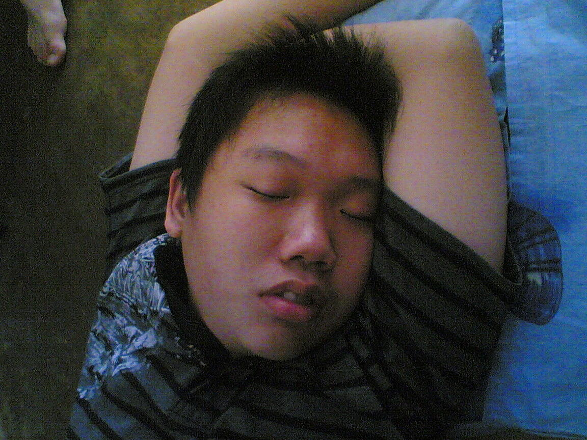 Collection Foto Close Up My Plen