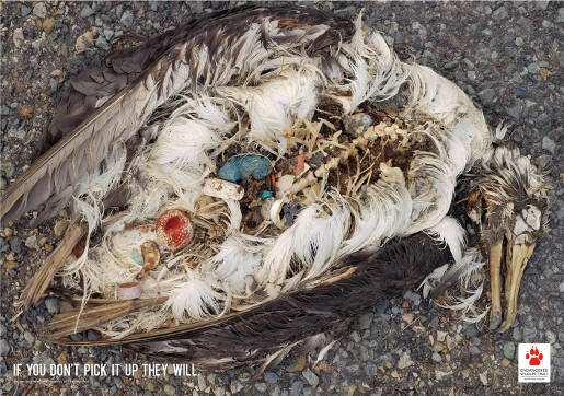Wiiihhh. Fakta Menyeramkan Tentang Kantong Plastik