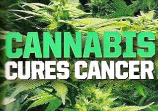 Ganja:Obat Kanker Masa Depan