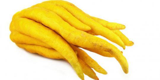 10 Buah buahan Paling Eksotis