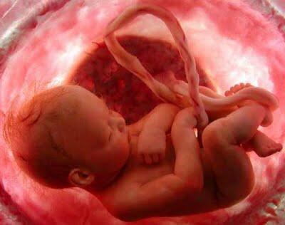 Misteri Percakapan Bayi dengan Tuhan Sebelum Lahir