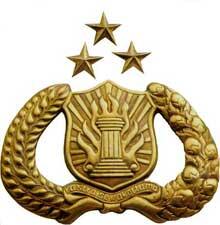 Sejarah Bhayangkara (P.O.L.I.S.I)