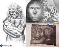 Misteri yang Sulit di Jelaskan