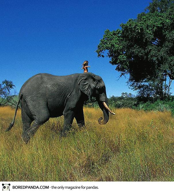 Tippi: Seorang Anak Perempuan yang Hidup Di Hutan Liar Afrika