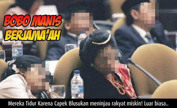Mungkin Ini Alasan Para Wakil Rakyat di Senayan Sering Bobo Ketika Sidang