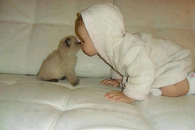 CUTE PET COMPLICATION -- HERE ! UNIK 