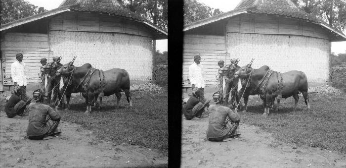 MADOERA TEMPO DULU (LAWAS)