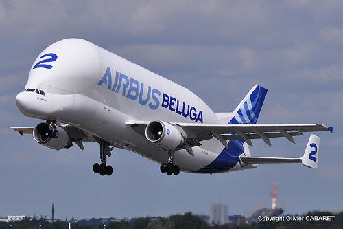 Mengenal Pesawat Cargo SATIC A300-600ST the biggest cargo
