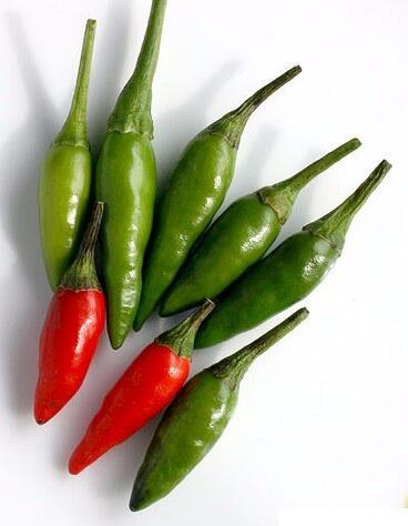 10 Cabe terpedas di dunia