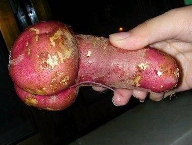 &#91;NEW&#93; BUAH UNIK ALA MAK EROT