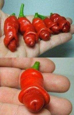 &#91;NEW&#93; BUAH UNIK ALA MAK EROT