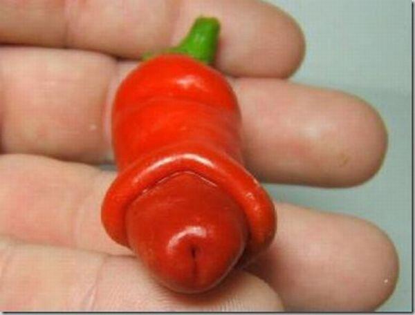 &#91;NEW&#93; BUAH UNIK ALA MAK EROT