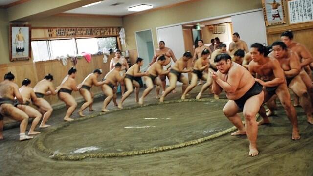 Kehidupan Sehari-hari Pegulat Sumo di Jepang