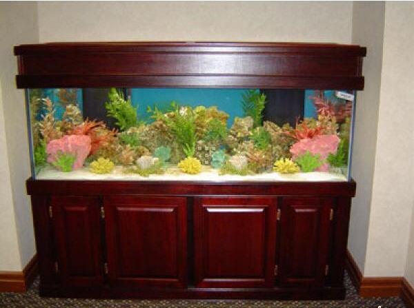 Terjual Aquariumido Kaskus