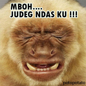 koleksi profile picture or avatar