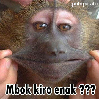 koleksi profile picture or avatar