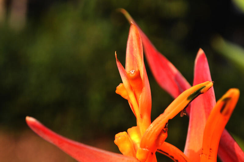 &#91;Sharing&#93; Hasil Belajar Fotografi ane gan