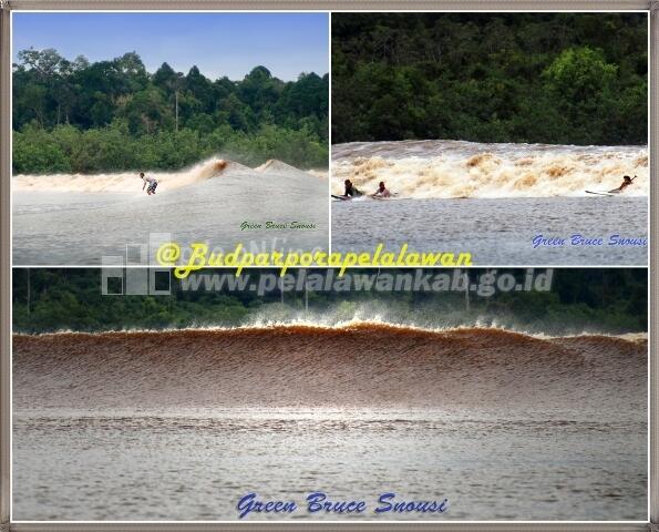 Ombak Sungai Terbaik di Dunia Ada di Indonesia