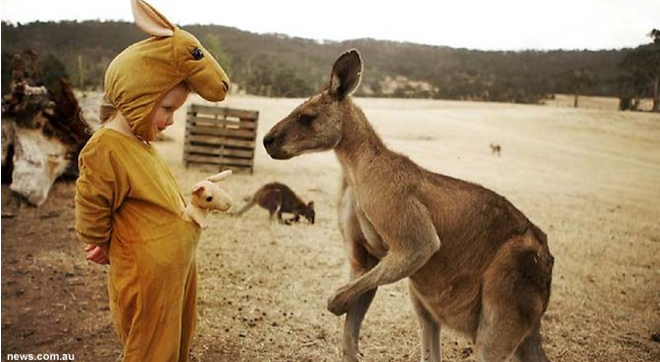 [Wow] Foto Imut Gadis Cilik Bersahabat dengan Kanguru Memukau Dunia