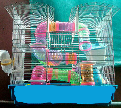 Jual Kandang Hamster dpet Hamster 6