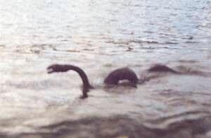 Nahuelito - Monster Danau Argentina