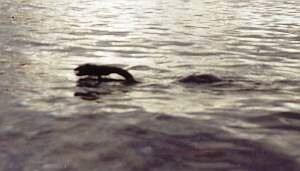 Nahuelito - Monster Danau Argentina