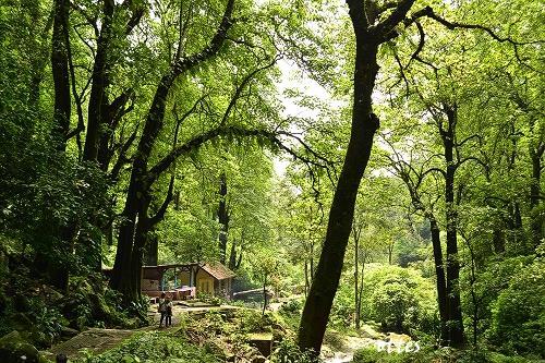 Cantiknya Air Terjun Kakek Bodo Tretes