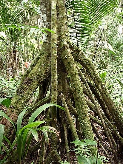 5 Fenomena Benda yang Bergerak Secara Aneh dan Misterius