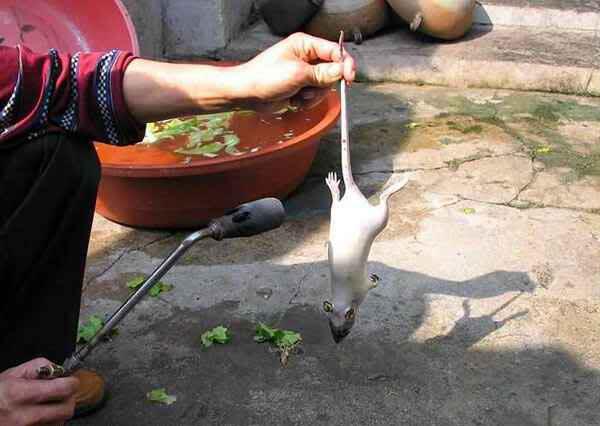 Exclamation Rahasia Ayam Goreng Murah di Pinggir Jalan 