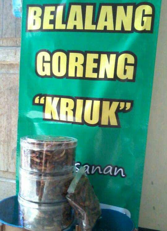 Belalang Goreng kriuk super murah gurih, bergizi dan HALAL