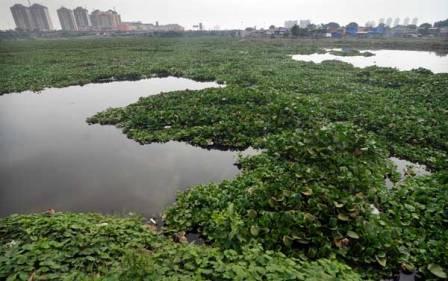 Setelah Waduk Pluit, Giliran Waduk Riario yang Siap disulap bak Marina Bay Singapura