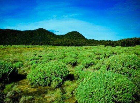 5 Gunung Terbaik di Indonesia untuk Kemping