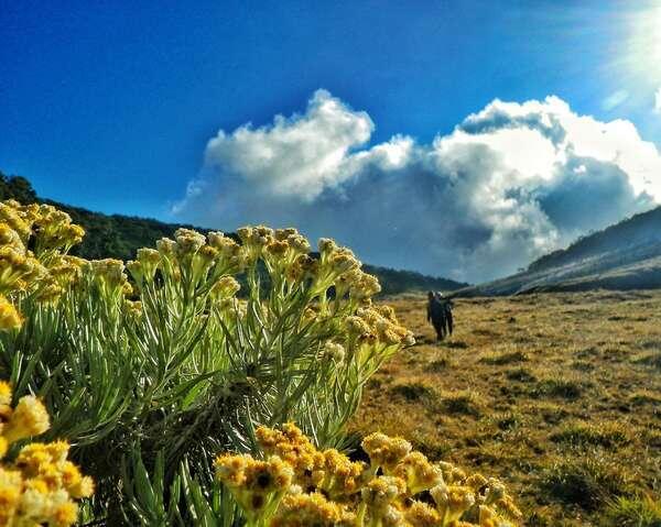 5 Gunung Terbaik di Indonesia untuk Kemping