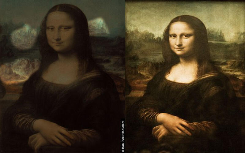 Kepala Hewan Dibalik Lukisan Monalisa Karya Da Vinci