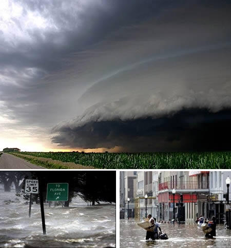 10 Dampak Dari Global Warming