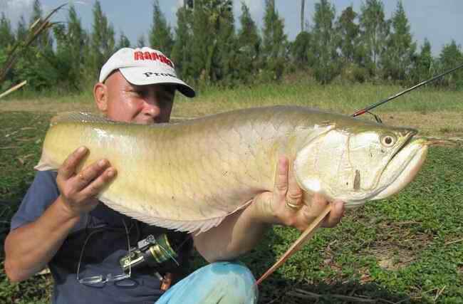 Jean Francois Helias, pemancing terkemuka di dunia..&#91;gallery ikan predator&#93;