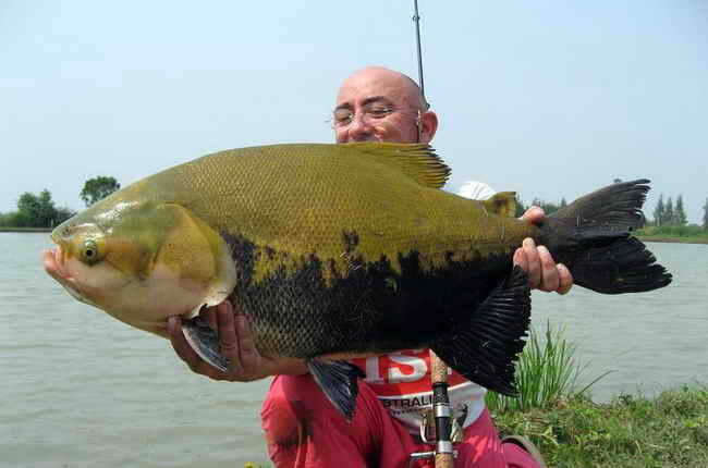 Jean Francois Helias, pemancing terkemuka di dunia..&#91;gallery ikan predator&#93;