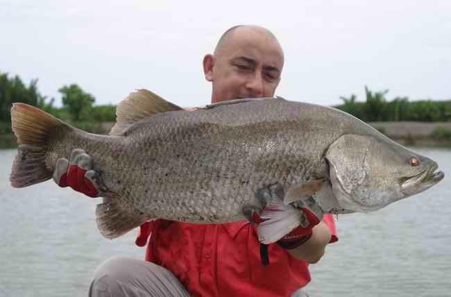 Jean Francois Helias, pemancing terkemuka di dunia..&#91;gallery ikan predator&#93;