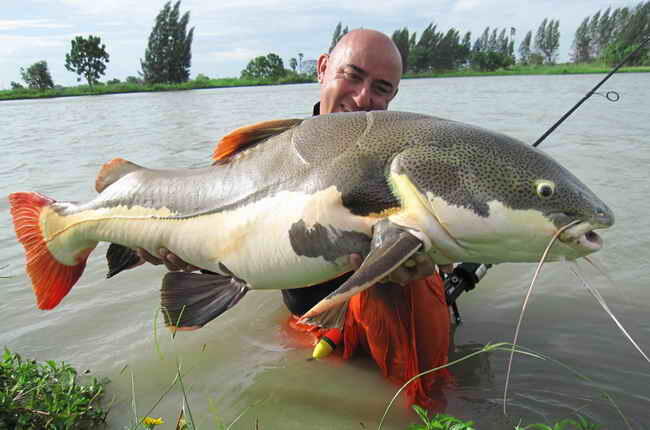 Jean Francois Helias, pemancing terkemuka di dunia..&#91;gallery ikan predator&#93;