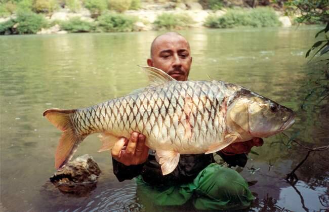 Jean Francois Helias, pemancing terkemuka di dunia..&#91;gallery ikan predator&#93;