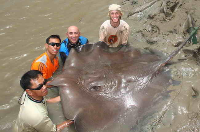 Jean Francois Helias, pemancing terkemuka di dunia..&#91;gallery ikan predator&#93;